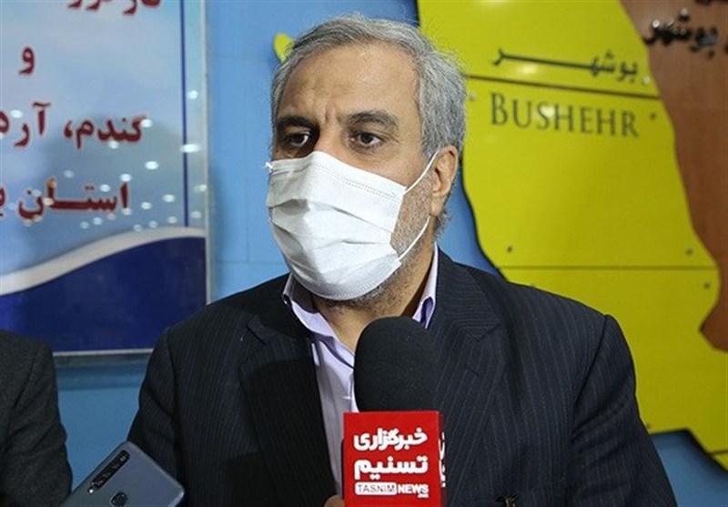 معاون وزیر صمت در بوشهر: خرید گندم تضمینی از کشاورزان 7 درصد افزایش یافت + فیلم