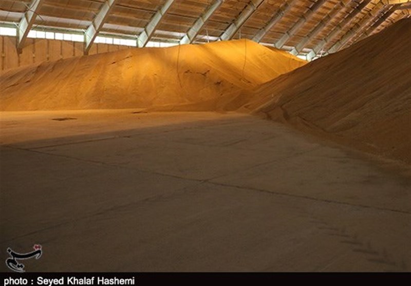 گندم مورد نیاز استان تهران تا پایان سال ذخیره شد