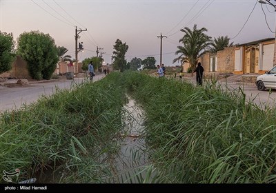 شهر ابوحمیظه در استان خوزستان و در پنج کیلومتری سوسنگرد