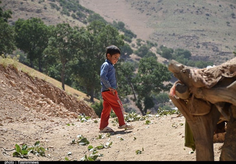 روایت تسنیم از روستایی تشنه در کنار سد تنگ سرخ /گنجگان از هرگونه امکاناتی محروم است