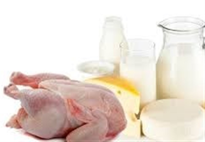 چراغ سبز تنظیم بازار برای گرانی دوباره شیر و گوشت مرغ + سند