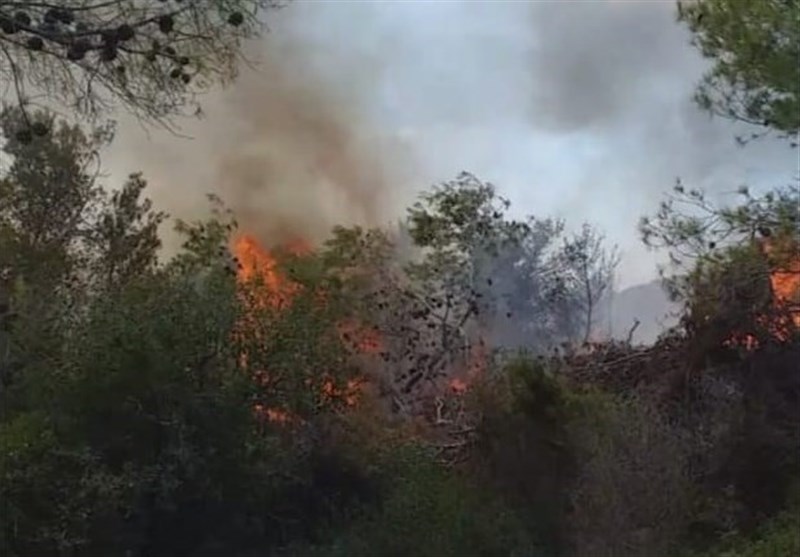 اقدام عمدی رژیم صهیونیستی در آتش زدن درختان یک منطقه در لبنان+عکس
