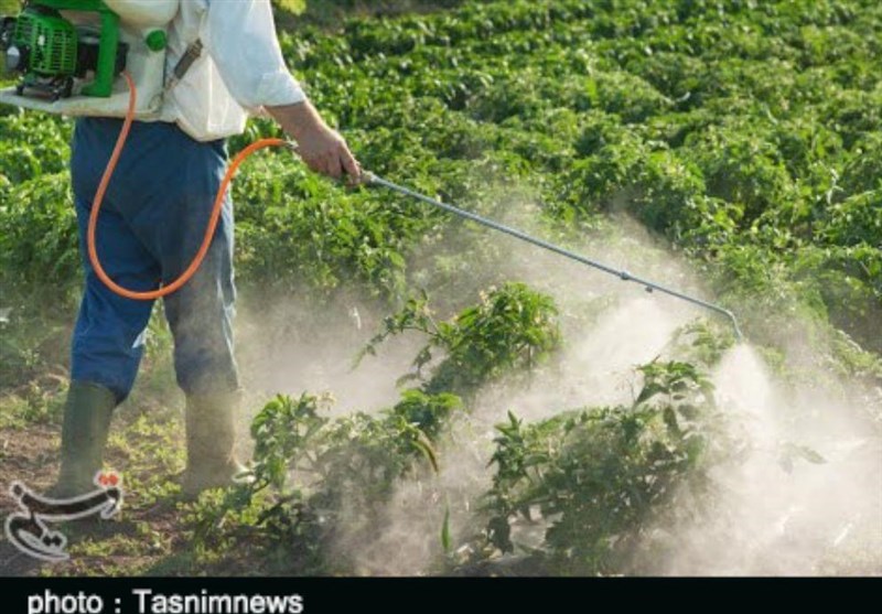 قیمت کود و سموم شیمیایی 5 برابر افزایش یافت/ آتش بی تدبیری در خرمن کشاورزان لرستانی