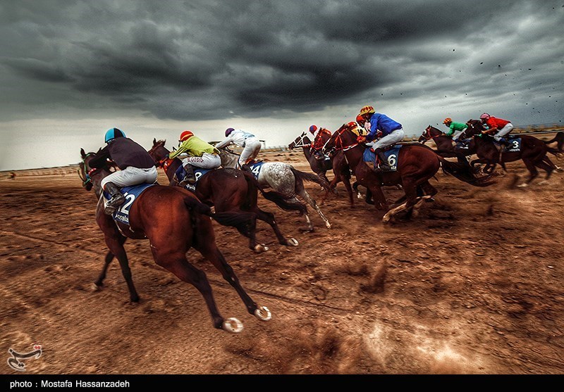 برگزاری هفته چهارم کورس اسبدوانی گنبد بدون حضور تماشاگر/126 اسب این هفته رقابت می‌کنند