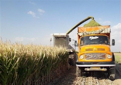 کمبود ماشین آلات؛ دسترنج کشاورزان "دره شهری" را خشکاند