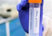 Cancer Cells Destroyed in Experimental Treatment without Using Any Drugs