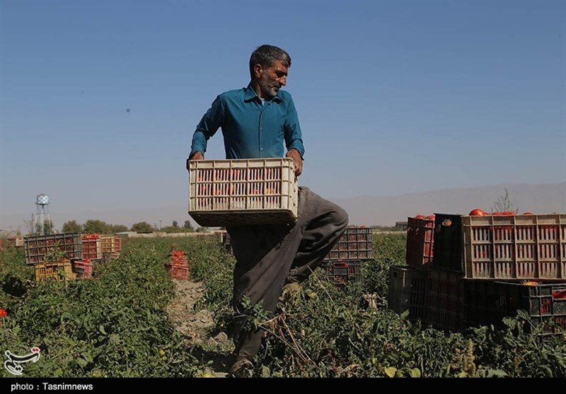 پرونده "کشاورزی، ناجی اقتصاد" , کمیسیون کشاورزی مجلس , کشاورزی , استانداری خراسان شمالی , 