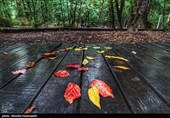 نخستین باران پاییزی میهمان خراسان رضوی شد