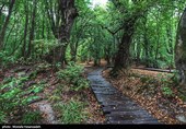 پارک جنگلی ارومیه به نام دولت سند خورد