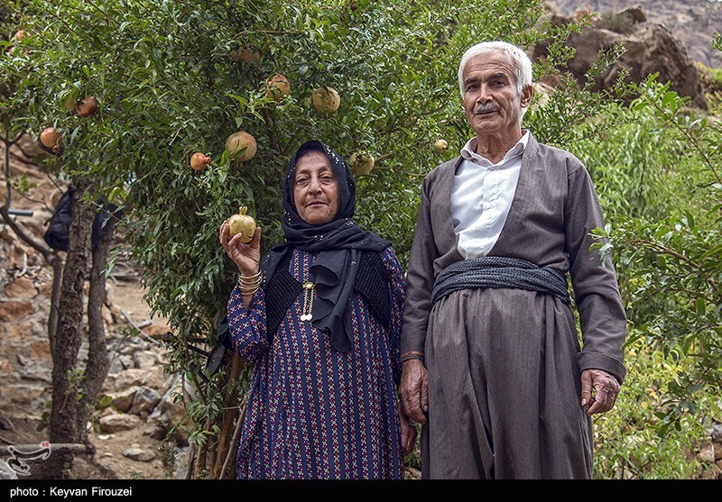 سازمان میراث فرهنگی، صنایع دستی و گردشگری , یونسکو | سازمان آموزشی، علمی و فرهنگی سازمان ملل متحد , 