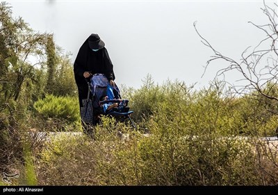 هزاران عراقی علیرغم محدودیت های ویروس کرونا ، راهپیمایی بزرگ اربعین را آغاز می کنند