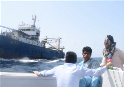  گزارش ویدئویی| مستند تسنیم از صید ترال در عمان / سودجویانی که کف دریا را شخم می‌زنند/ ردپای برخی مدیران بازنشسته ‌در صید ترال 