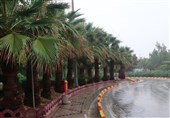 کاهش 68 درصدی بارش باران در استان بوشهر