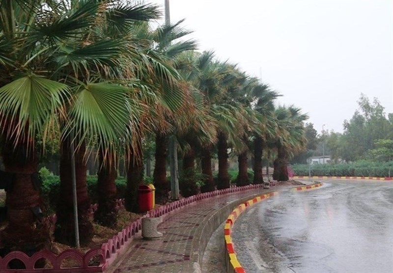کاهش 68 درصدی بارش باران در استان بوشهر