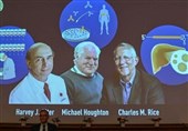 Nobel Prize for Medicine Goes to Trio for Work on Hepatitis C