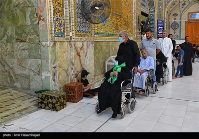 زائران اربعین حسینی در حرم حضرت علی(ع) - نجف اشرف