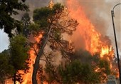 Massive Forest Fires Erupt across Lebanon (+Video)