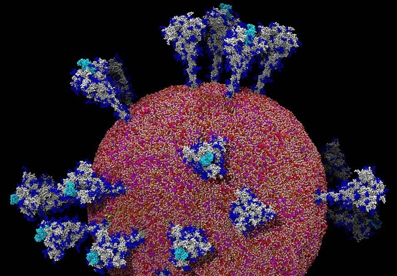 First Detailed Images of Coronavirus to Help Scientists Find Vaccine
