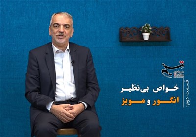 خواص بی نظیر انگور و مویز