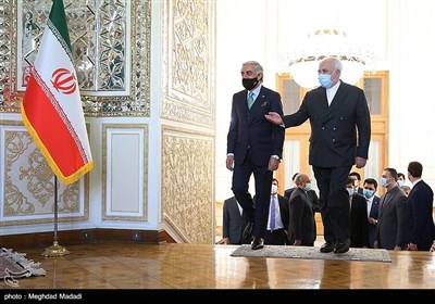 دیدار عبدالله عبدالله رییس شورای عالی صلح افغانستان با ظریف وزیر امورخارجه