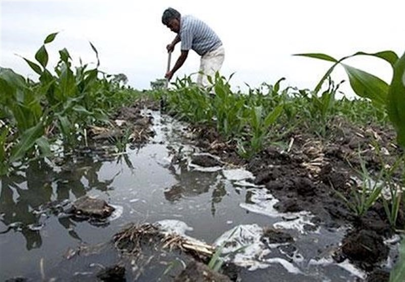 بهره‌برداری از 923 هکتار آبیاری تحت فشار در دهگلان / جهانگیری: از سرمایه‌گذاران بخش کشاورزی حمایت می‌کنیم