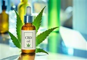 CBD Oil May Protect against COVID-19 Lung Damage: Research