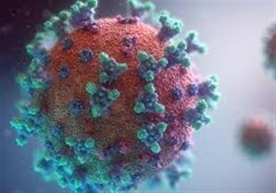 Human Protein Found to Make Coronavirus Highly Infectious