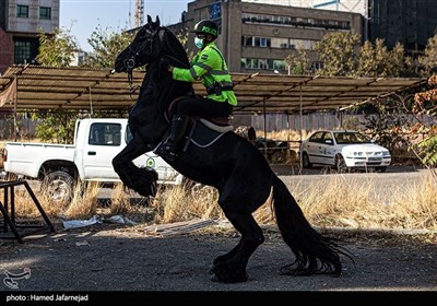 مشہد مقدس: گھڑسوار پولیس اہلکاروں کی شاندار پریڈ