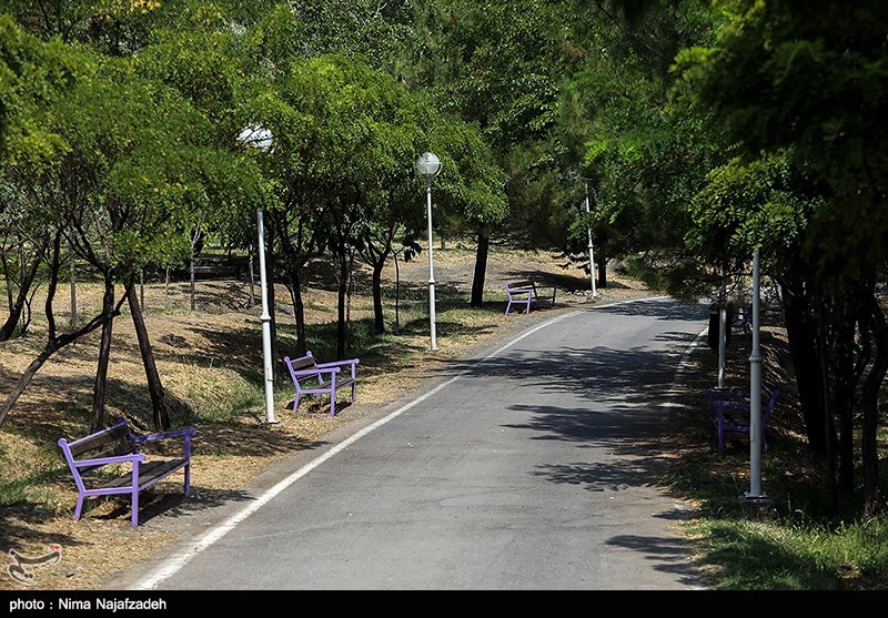 ورودی 3 پارک مهم شهر کرمانشاه مسدود شد