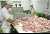 مرغ ایرانی | 2 هزار میلیارد تومان ضرر سالانۀ خانوادۀ ایرانی از «مصرف مرغ درشت»