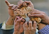 گزارش تسنیم|بازی کثیف با نانِ مردم/بزرگنمایی یک کمبود ناچیز تا حد یک بحران! دولت مشکلات قدیمی آردونان را حل کند