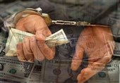 اختصاصی تسنیم|دستگیری 19 نفر در شبکه مجرمانه صادرات 70 کارتن خواب/ پای 1.4 میلیارد یورو تعهد ارزی در میان است