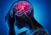 Nearly 1.4% of Hospitalized COVID-19 Patients Suffer Stroke