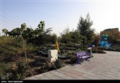 تعطیلی 2 هفته‌ای پارکهای منطقه‌ای و بوستان‌های شهر تهران