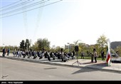 افتتاح 13 بوستان جدید در تهران تا پایان تابستان/دلیل غیبت شیرهای میدان حر مشخص شد