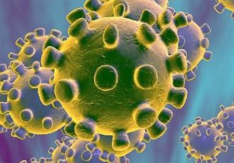 محل اصلی تکثیر ویروس کرونا در بدن کجاست؟