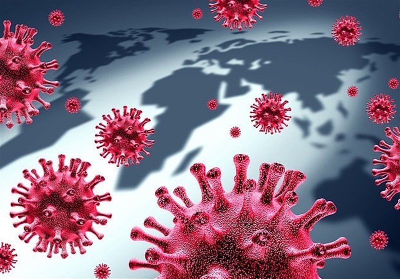 Scientists Warn about Undiscovered Animal Viruses That Could Infect Humans