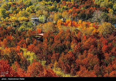 طبیعت پاییزی روستای سیلوار همدان