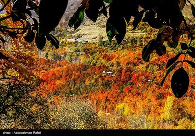 طبیعت پاییزی روستای سیلوار همدان