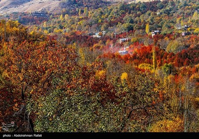 طبیعت پاییزی روستای سیلوار همدان