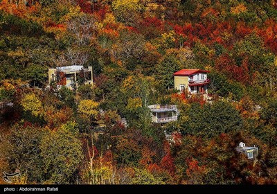 طبیعت پاییزی روستای سیلوار همدان