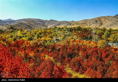 طبیعت پاییزی روستای سیلوار همدان