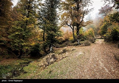 طبیعت پاییزی روستاهای اشکورات گیلان