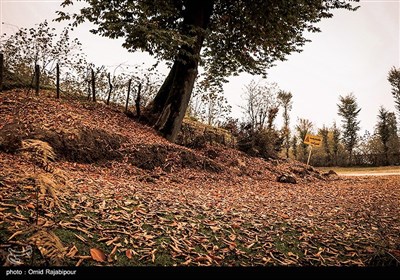 طبیعت پاییزی روستاهای اشکورات گیلان