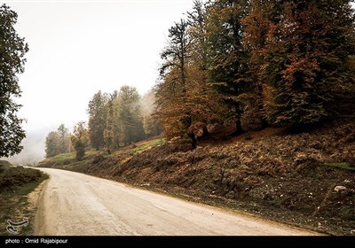 طبیعت پاییزی روستاهای اشکورات گیلان