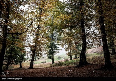 طبیعت پاییزی روستاهای اشکورات گیلان