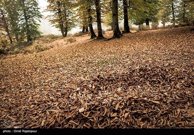 طبیعت پاییزی روستاهای اشکورات گیلان