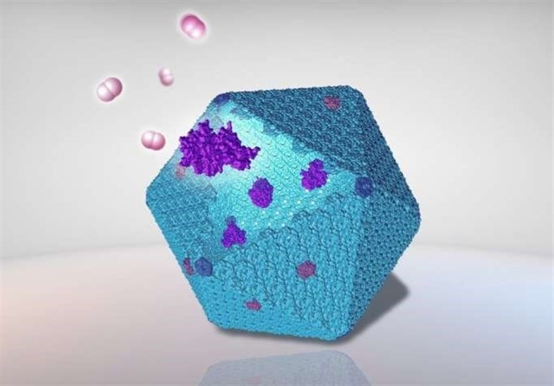 Protein Nanobioreactor Designed to Improve Sustainable Bioenergy Production
