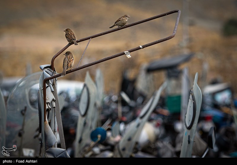 رسوب چند ساله موتورسیکلتها در پارکینگهای تهران