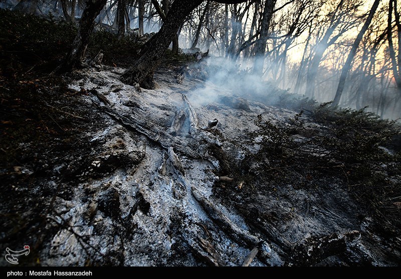 هشتمین روز حریق در جنگل‌های گلستان| باران به داد &quot; توسکستان&quot; رسید/ شعله‌های آتش امروز خاموش می‌شود